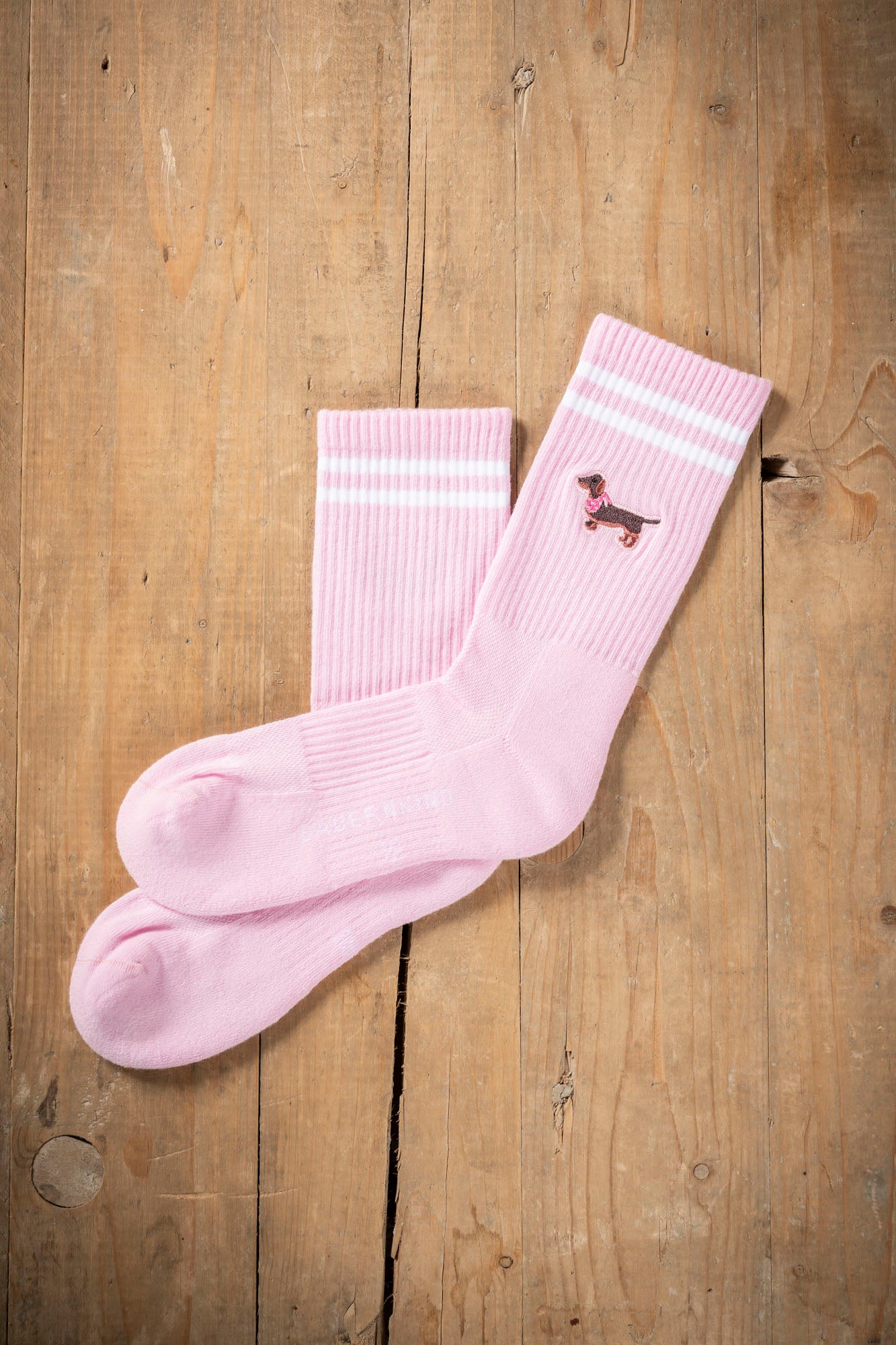 Socke Dackel