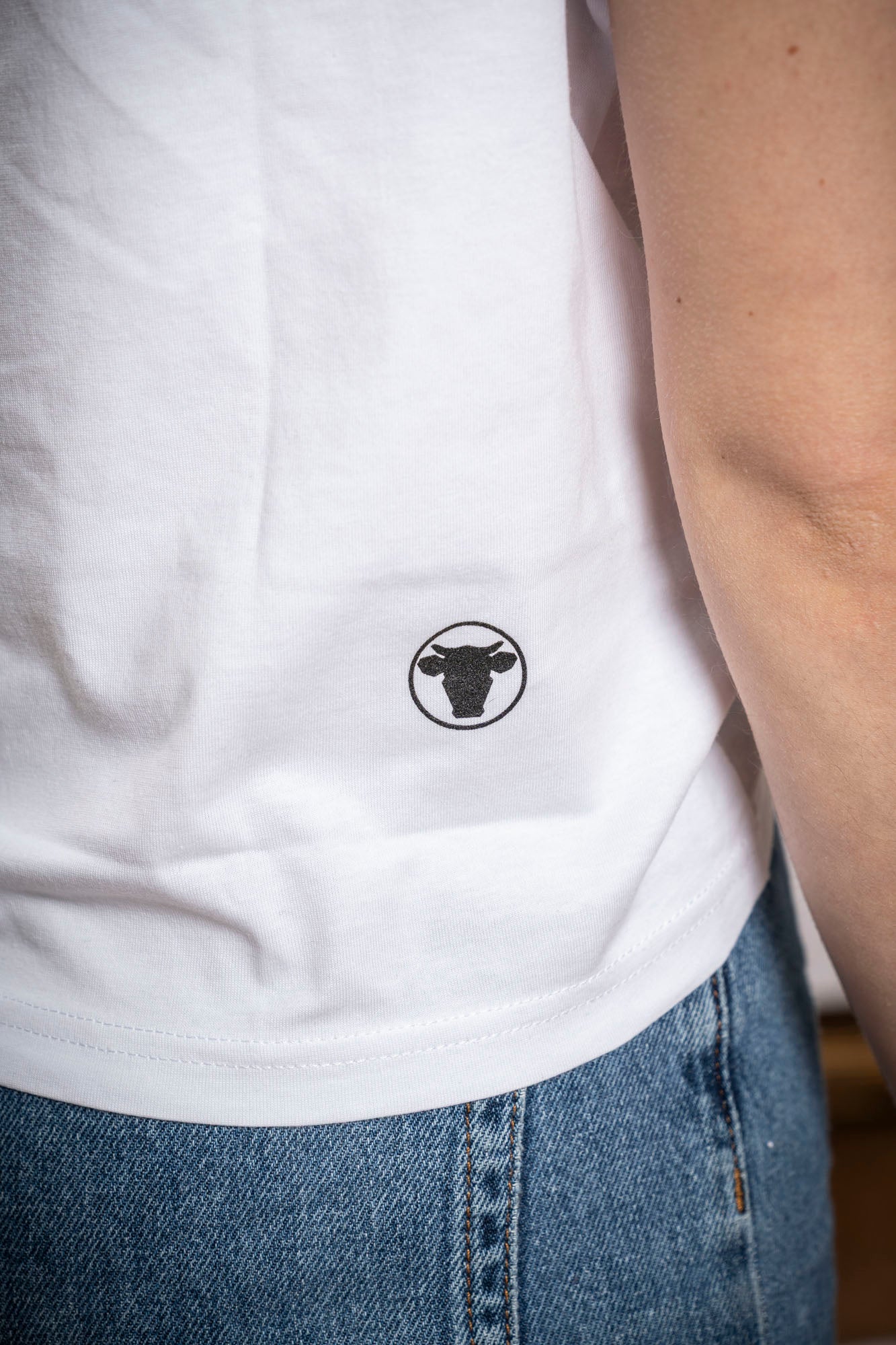 Shirt Land 2.0
