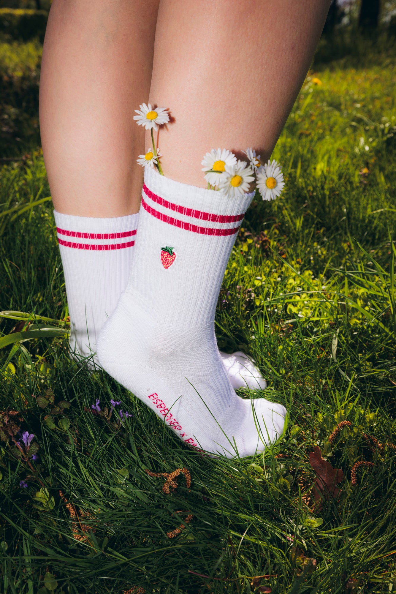 Socke Erdbeere