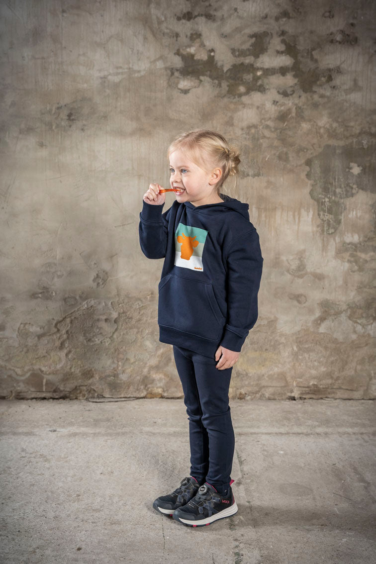 Hoodie Esel