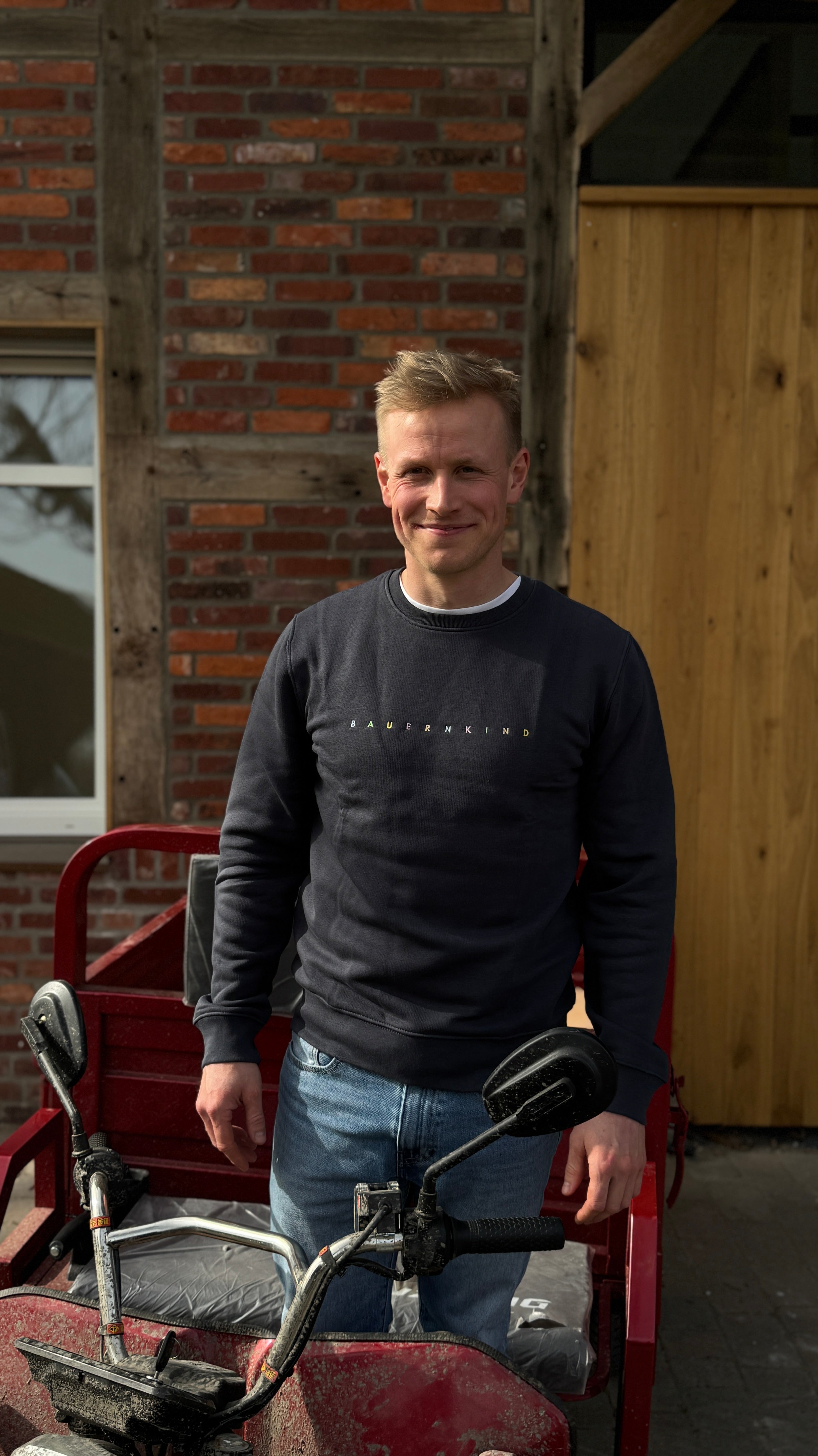 Pulli Unisex graublau